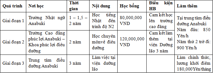 Description: học bổng điều dưỡng Anabuki