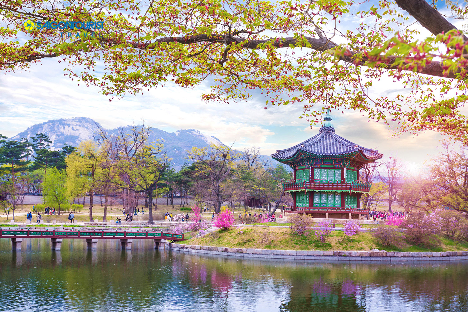 Đại Học Daegu Hanny Hàn Quốc: Cẩm nang bạn cần phải biết